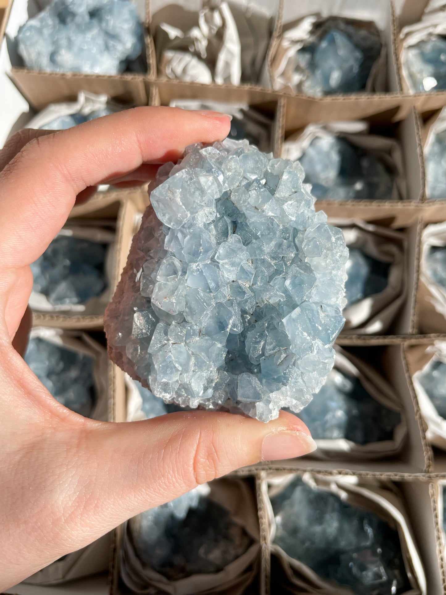 Coelestin Stufen aus Madagaskar, A-Qualität - auswählbar