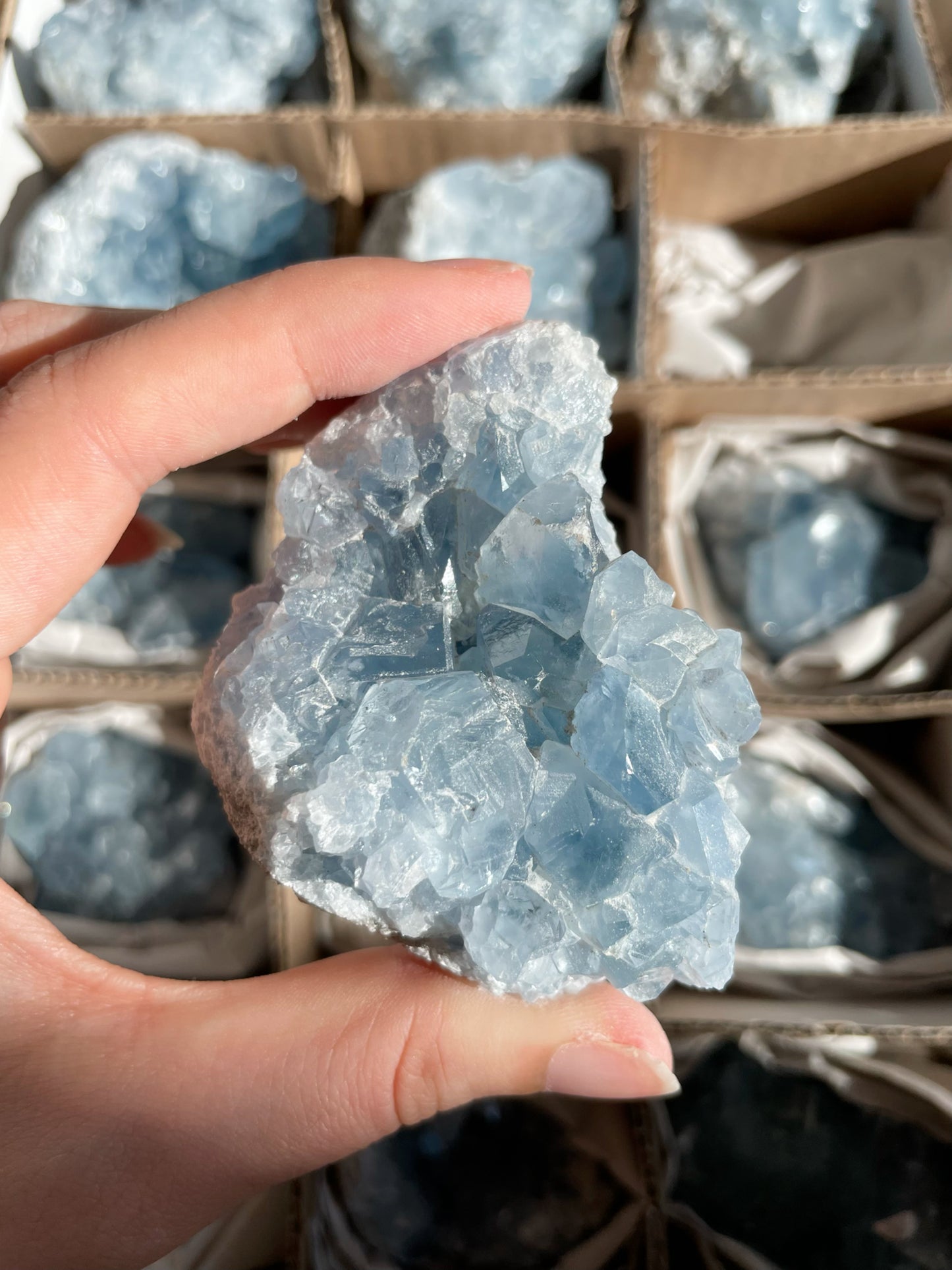 Coelestin Stufen aus Madagaskar, A-Qualität - auswählbar