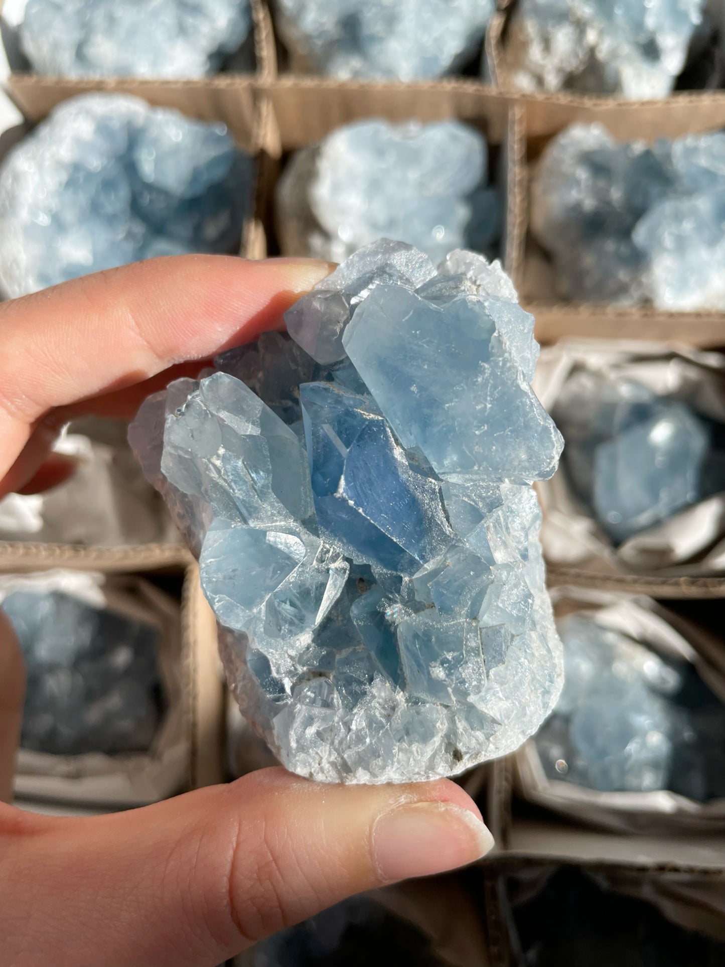 Coelestin Stufen aus Madagaskar, A-Qualität - auswählbar