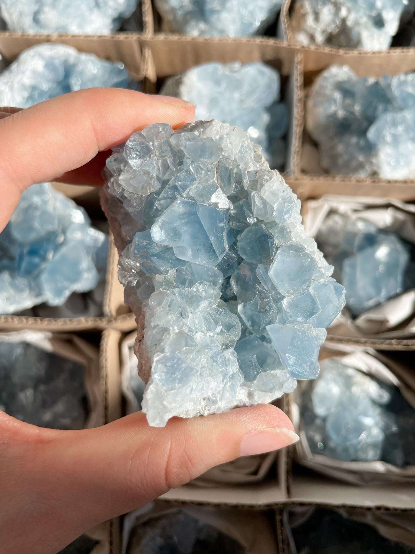 Coelestin Stufen aus Madagaskar, A-Qualität - auswählbar