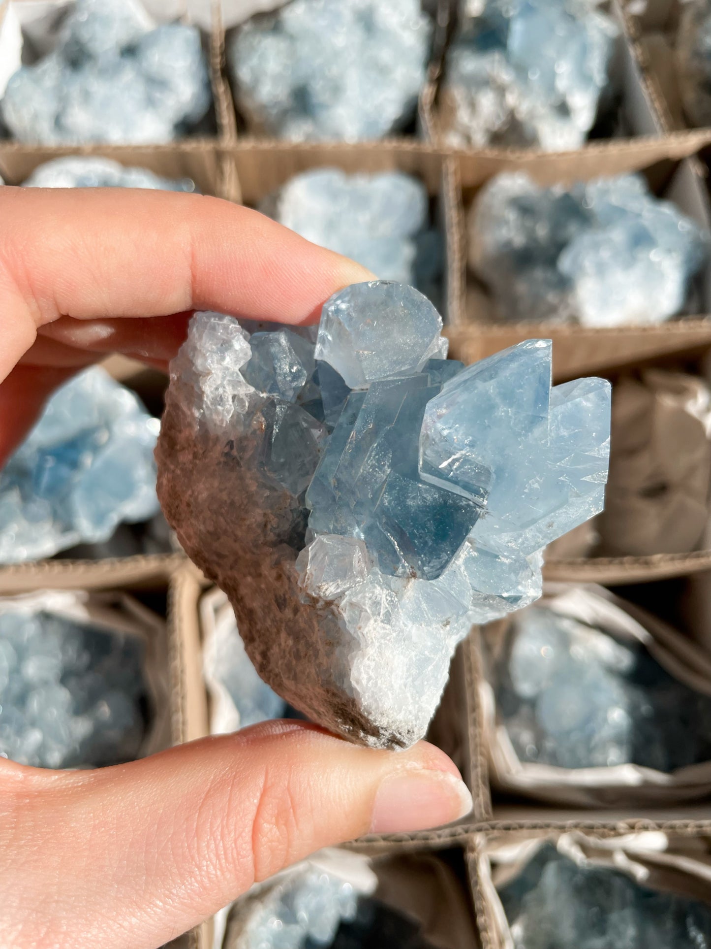 Coelestin Stufen aus Madagaskar, A-Qualität - auswählbar