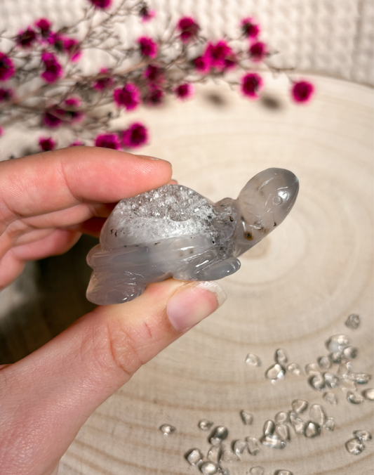 Druzy Achat Schildkröte mit Dendritenachat 🐢