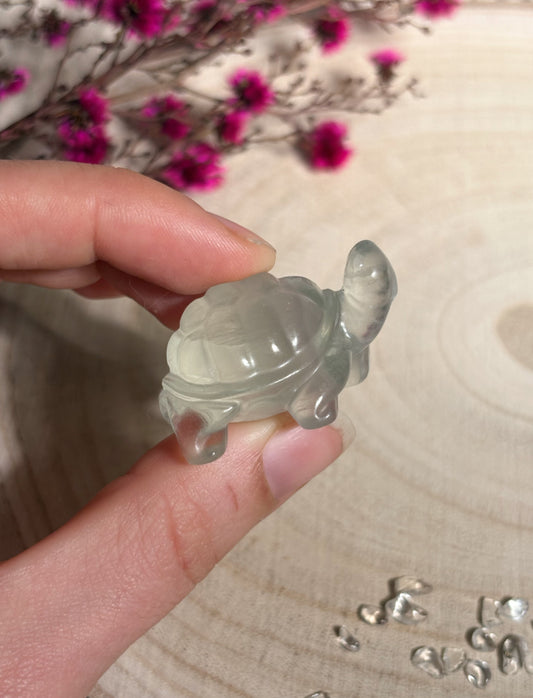 Fluorit Schildkröte, blaugrün 🐢
