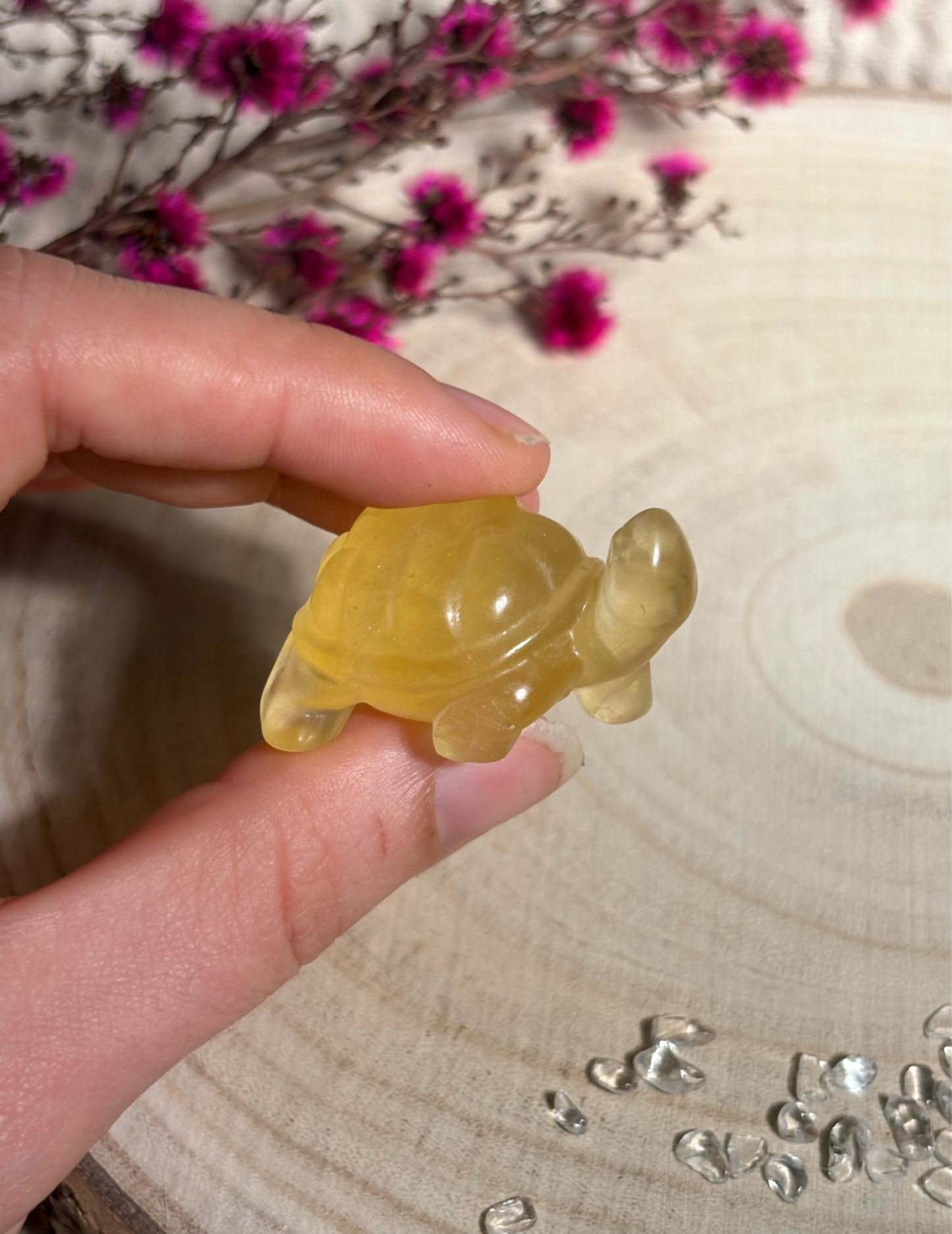 Fluorit Schildkröte, gelb 🐢