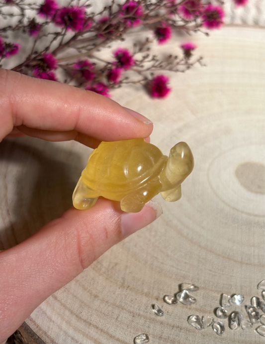 Fluorit Schildkröte, gelb 🐢