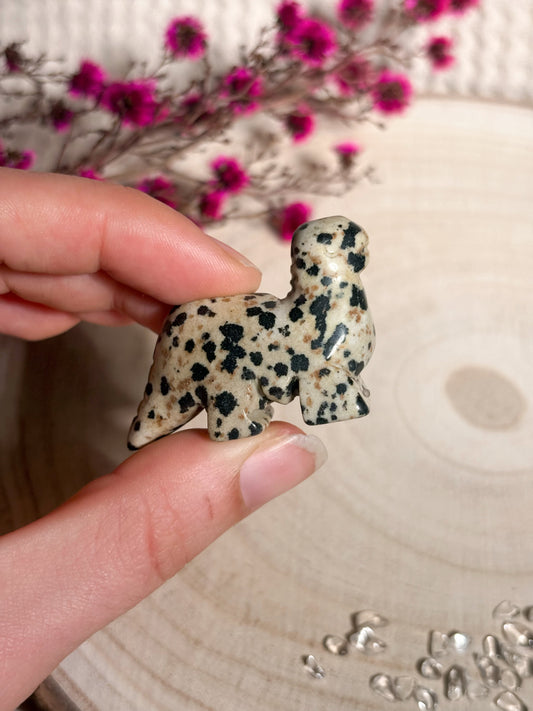 Dalmatiner-Jaspis Dino 🦕