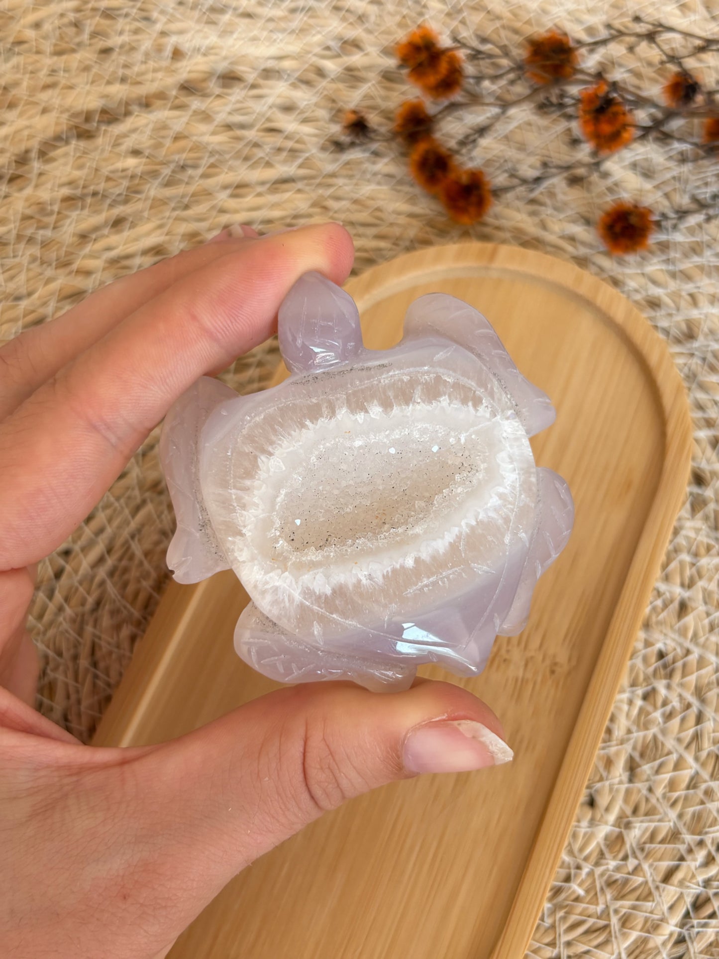 Druzy Achat Schildkröte, Nr. 3