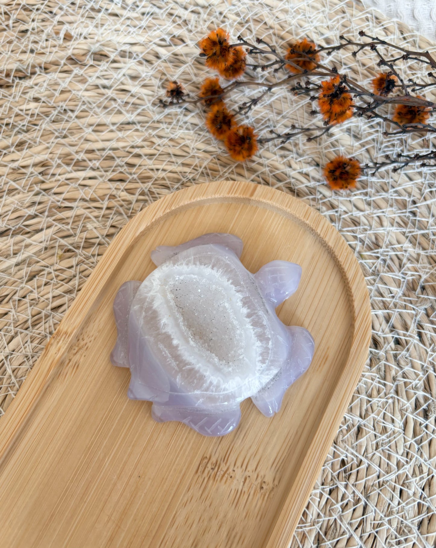 Druzy Achat Schildkröte, Nr. 3