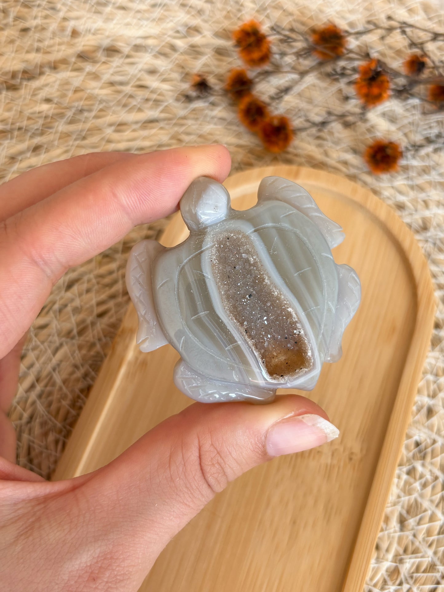 Druzy Achat Schildkröte, Nr. 2