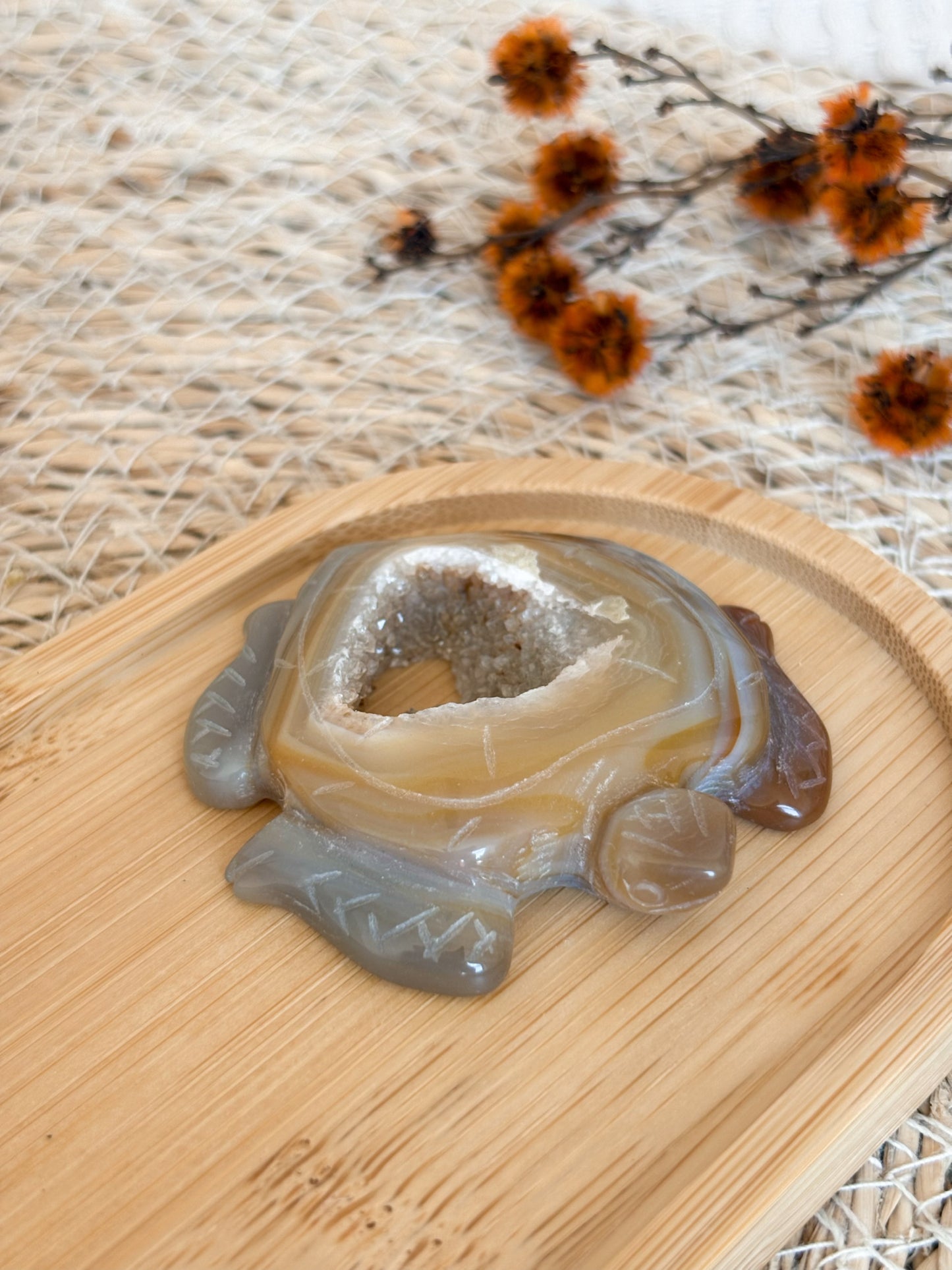 Druzy Achat Schildkröte, Nr. 4