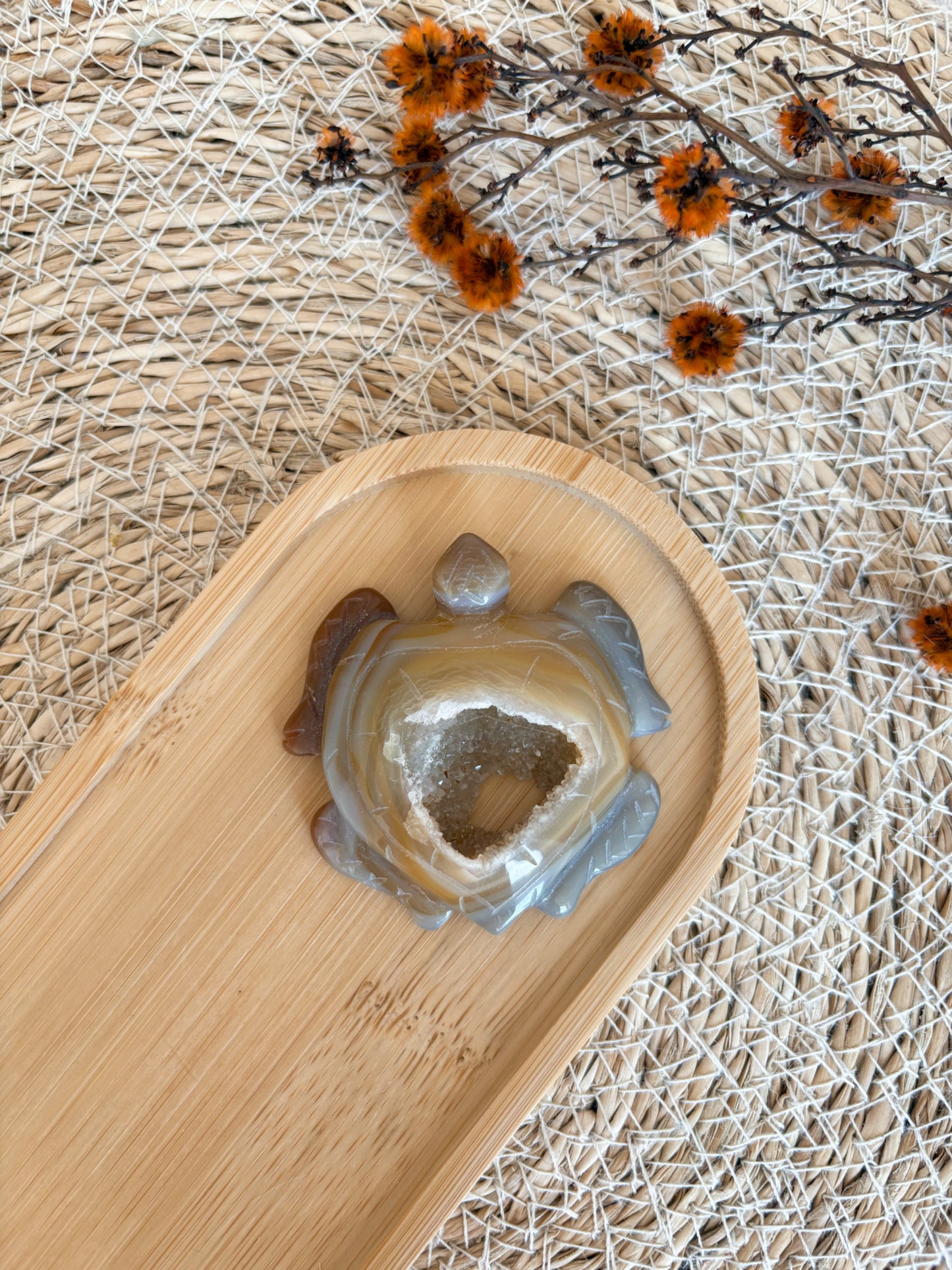 Druzy Achat Schildkröte, Nr. 4