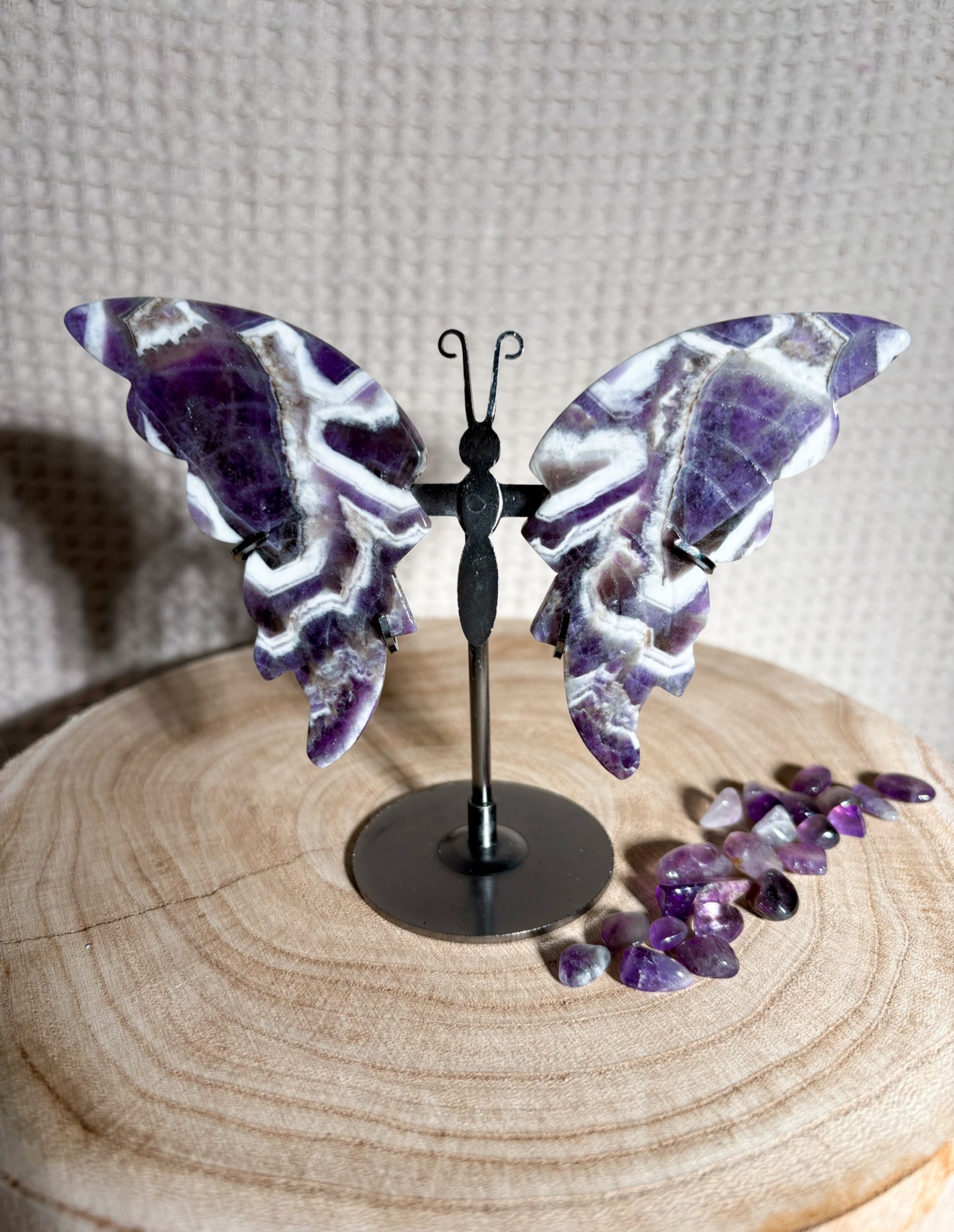 Chevron Amethyst Schmetterling C22 🦋