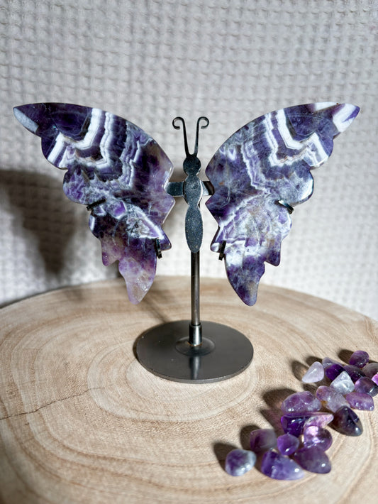 Chevron Amethyst Schmetterling A22 🦋