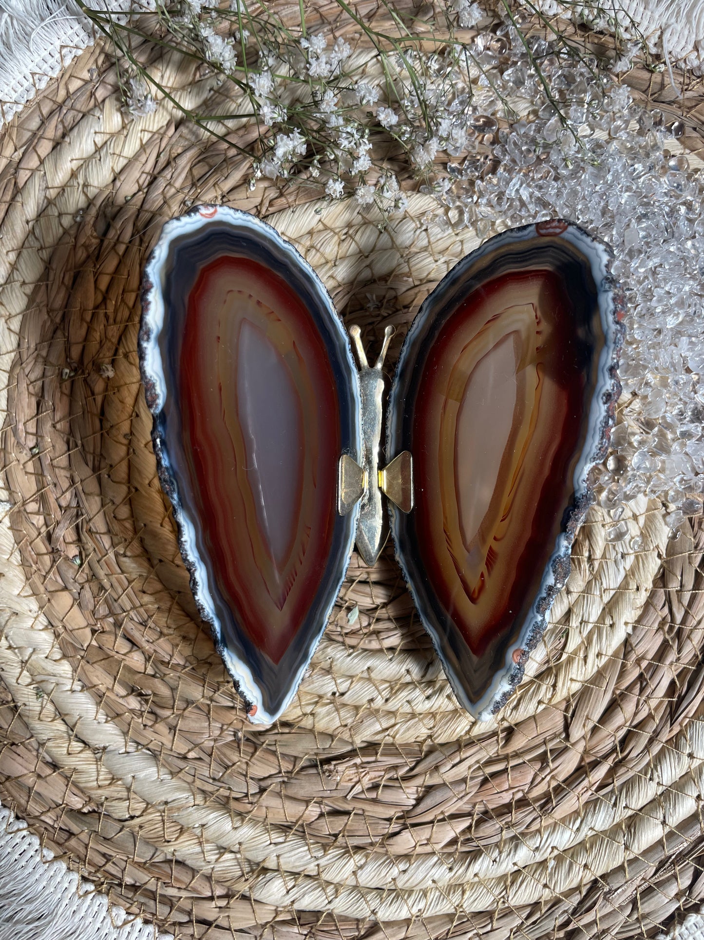 Achat Schmetterling Nr. 2