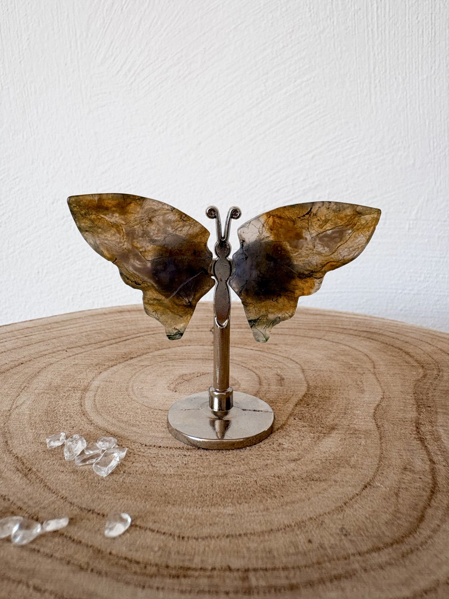 Mini Moosachat Flügel M11