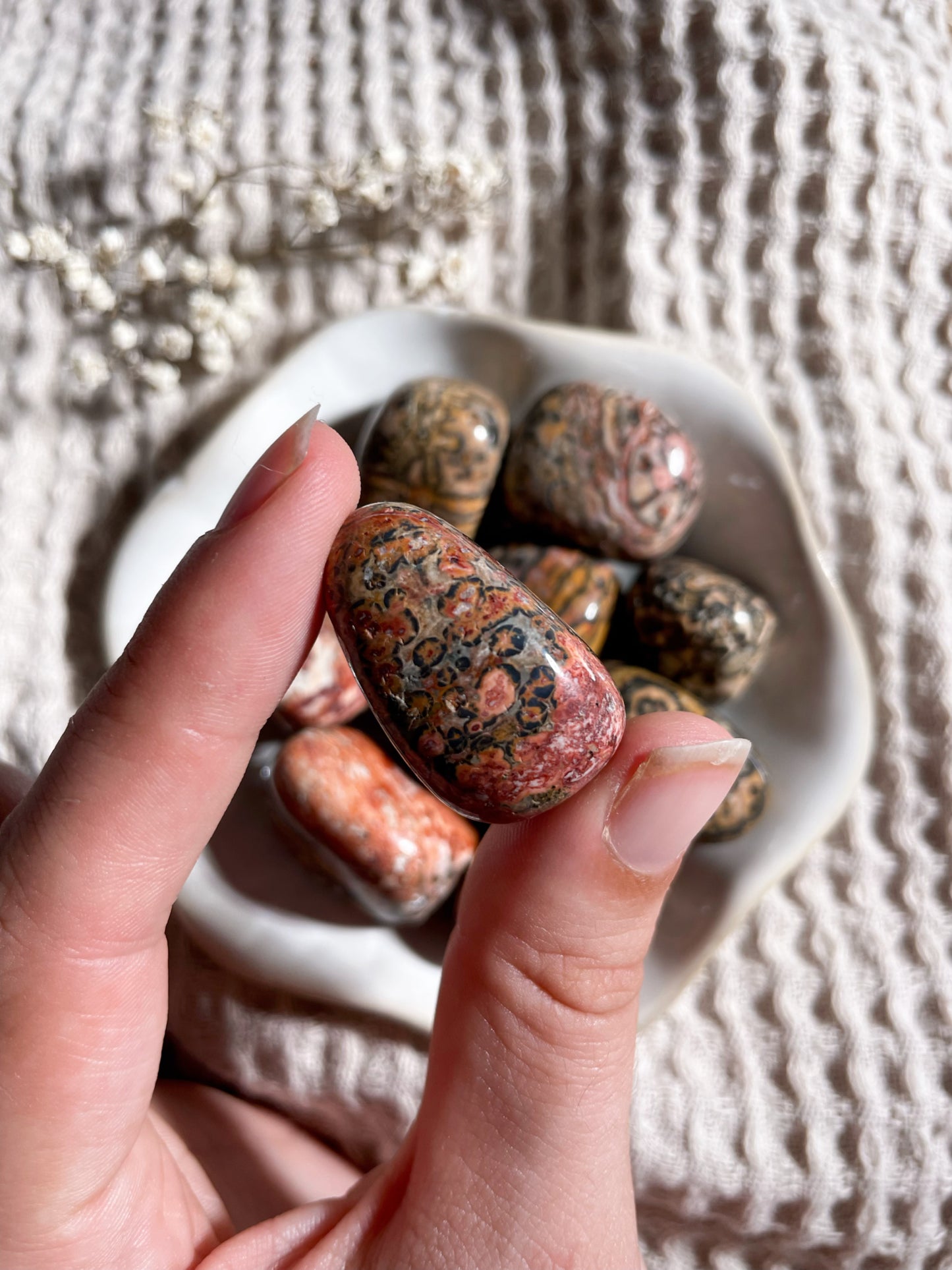 Leopardenjaspis Trommelstein