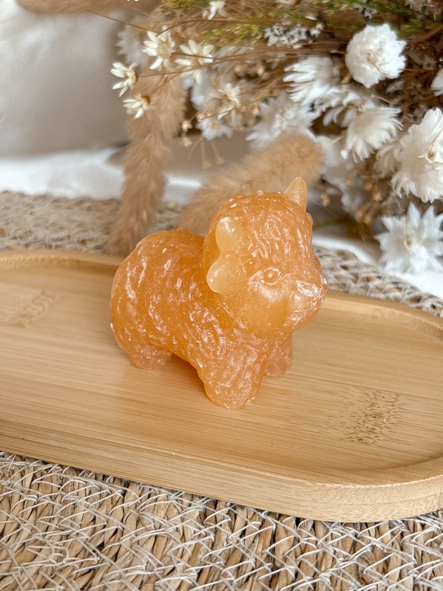 Orangencalcit Highland Cow 🐮