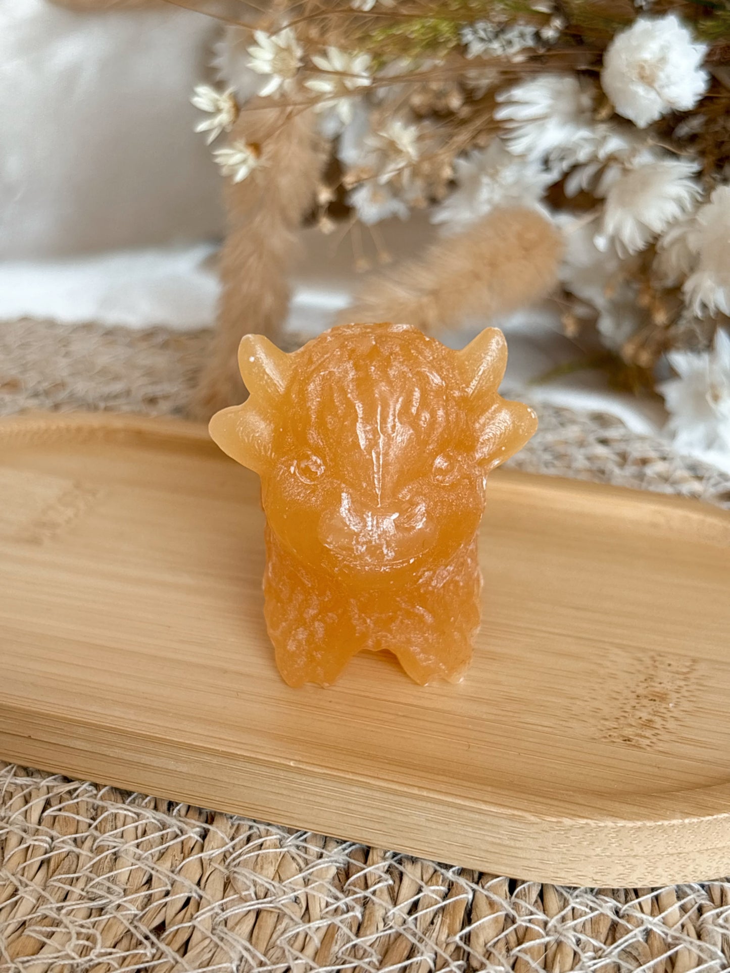Orangencalcit Highland Cow 🐮