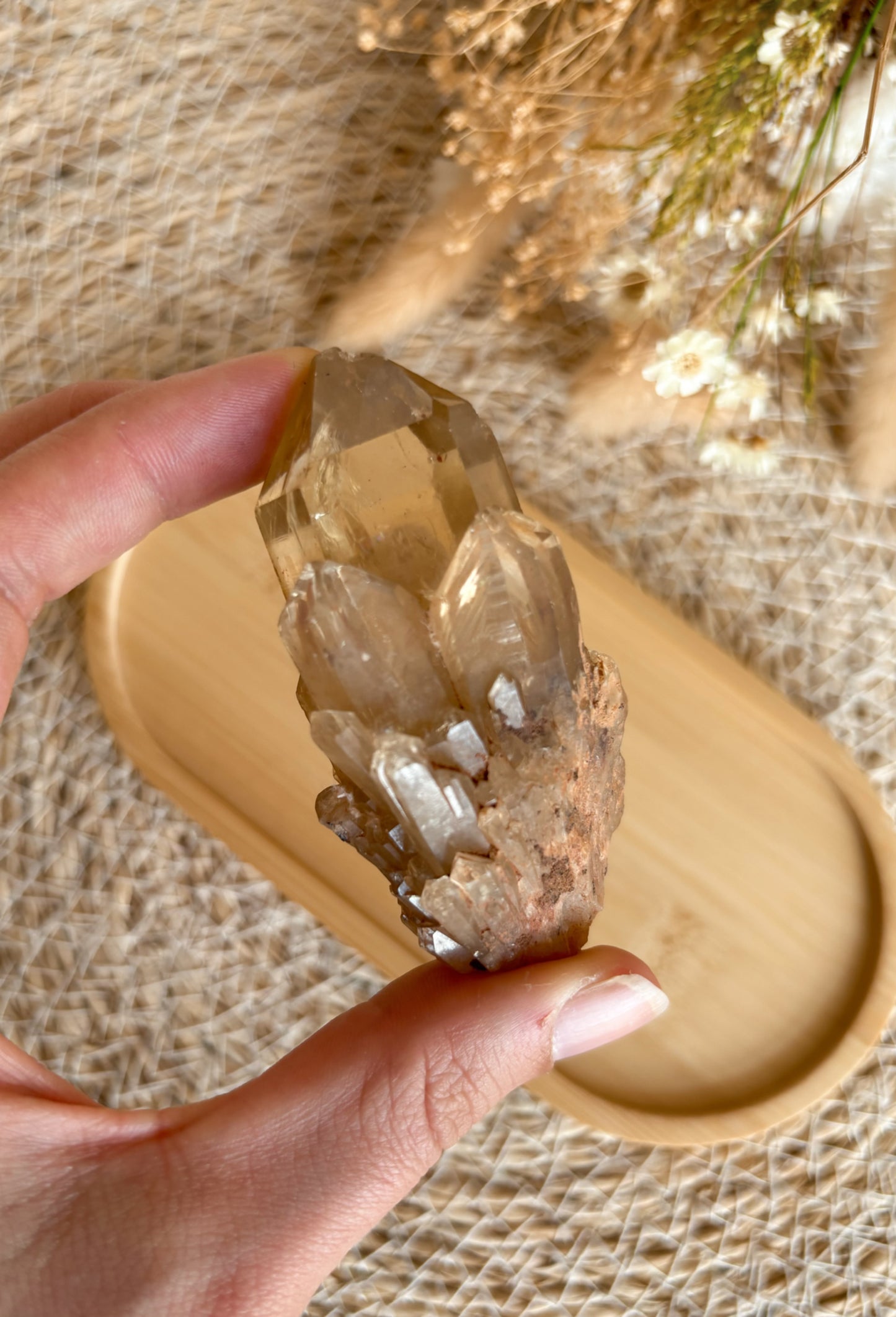 Kundalini Citrin Cluster Nr. 1