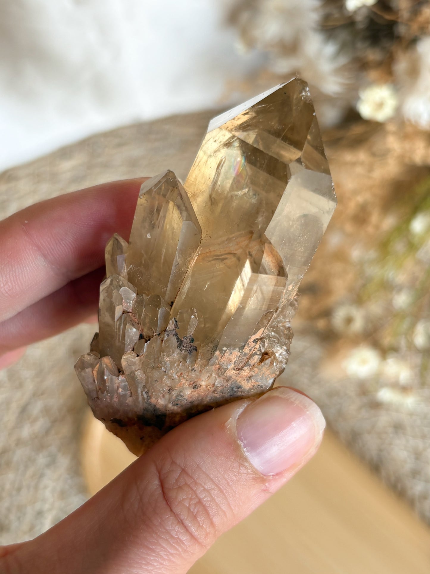 Kundalini Citrin Cluster Nr. 1